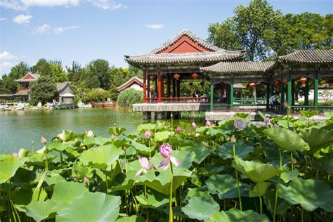 Ezhou Lotus Pond Tarihi Çin Bahçesi İçin Bir Cazibe Merkezi mi?