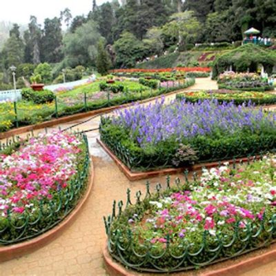 Nanyang Botanical Garden: Yemyeşil Bir Cennet ve Nadir Bitki Koleksiyonu!