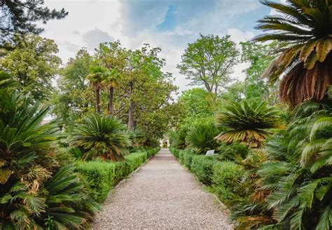 Orto Botanico di Padova: Muhteşem Bitki Dünyasına Bir Yolculuk!